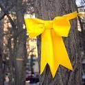 Yellow Ribbons to Be Placed in Cuba''s Largest Urban Park 