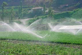 riego-agua-agricultura