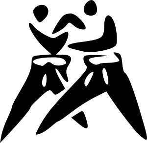 Cuban Judo Teams Win Gold and Silver in Pan-American Championship 